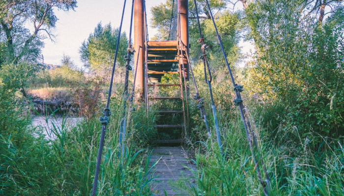 限时分享“晋赵娱乐要怎么开挂”其实确实有挂