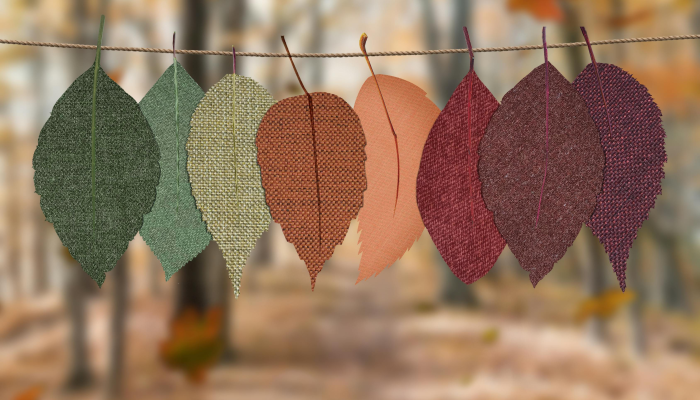 实测教程”花花生活圈外卦神器”其实确实有挂