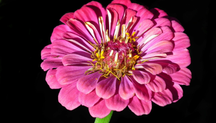 辅助开挂神器“友乐互娱怎么开挂教程”其实确实有挂