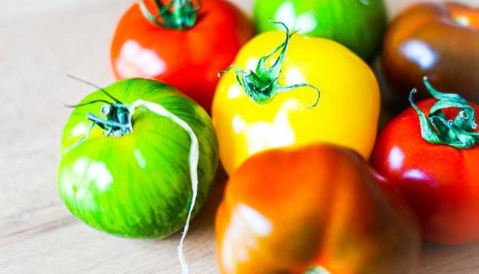 实测教程”中至上饶打炸辅助下载”其实确实有挂