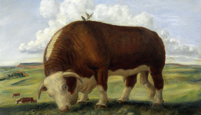 辅助开挂神器“铭心牛牛确实可以开挂”其实确实有挂