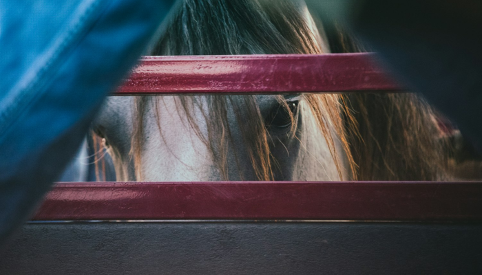 辅助神器“天天比鸡可以买挂吗”其实确实有挂