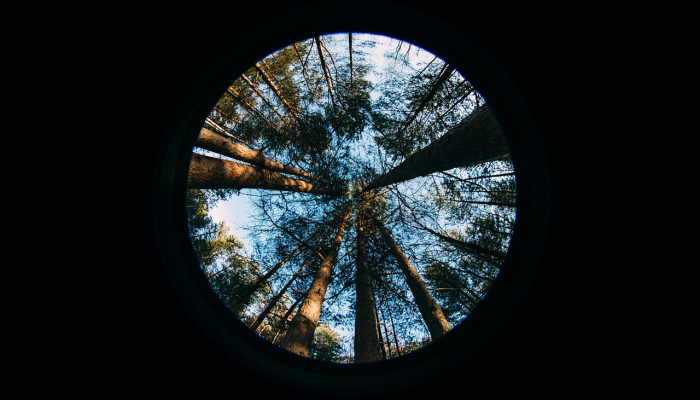 辅助开挂神器“pokerrrr2有挂吗”开挂详细教程