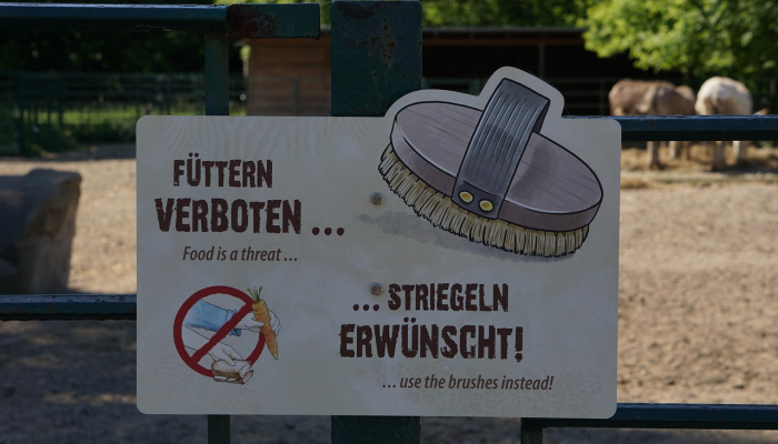 辅助神器“炫酷大厅辅助软件”开挂(透视)辅助教程