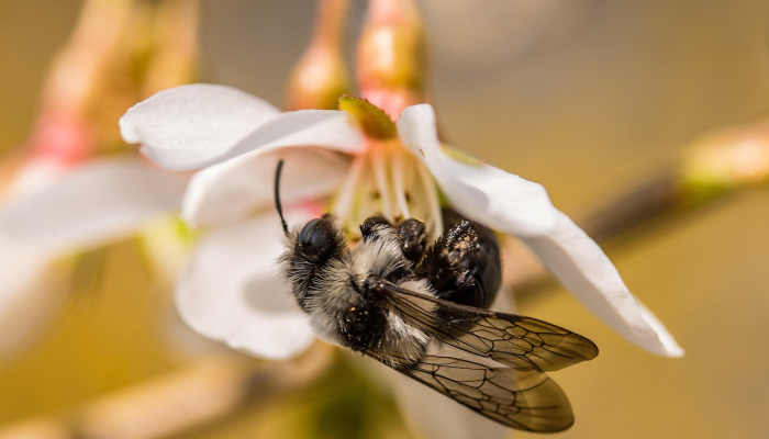辅助神器“桃子山西麻将有没有挂”开挂(透视)辅助教程
