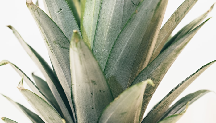 实测教程”老友麻将开挂怎样安装”其实确实有挂