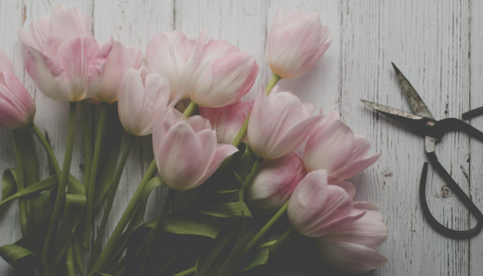 辅助神器“多乐跑胡子开挂辅助器”开挂(透视)辅助教程