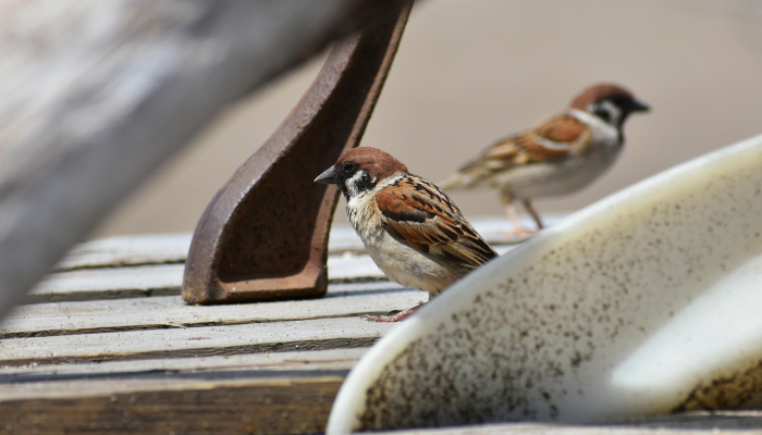 辅助开挂神器“中天游戏可以开挂吗”【透视软件教程分享】