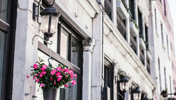 辅助开挂神器“河洛杠次有挂吗的确有挂”开挂详细教程