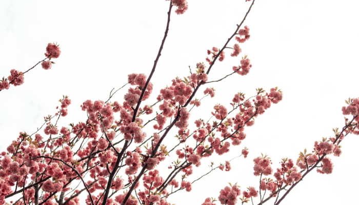 必备科技“老友地方游戏有没有挂”开挂详细教程