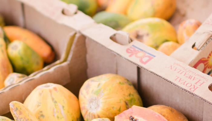 万能开挂辅助“颍河竞技有挂吗”详细分享装挂步骤