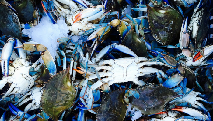 辅助开挂神器“微乐江苏麻将可以开挂吗”分享用挂教程