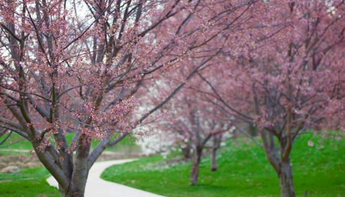 开挂辅助工具“yy衡阳字牌能不能开挂”(透视)其实确实有挂