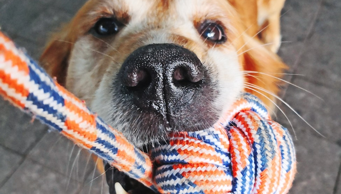 辅助开挂神器“小闲巴渝棋牌到底有没有挂”开挂详细教程