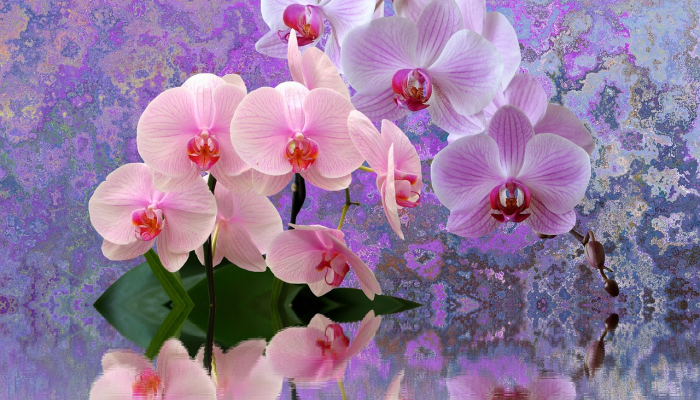 辅助开挂神器“唯思竞技麻将开挂辅助作弊”开挂详细教程