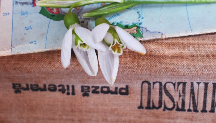 辅助神器“益乐绍兴麻将真的确实有挂”(透视)其实确实有挂