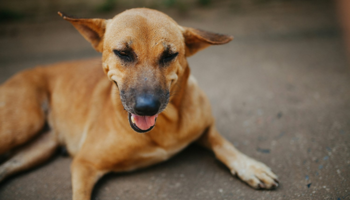 玩家实测“天天休闲有挂吗”分享必要外挂教程