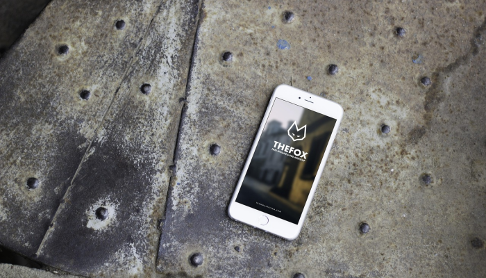 辅助神器“yy衡阳字牌能不能开挂”开挂(透视)辅助教程