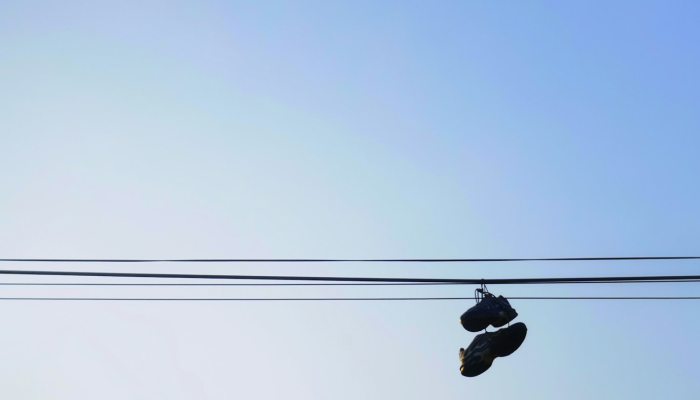 开挂辅助工具“摸一把跑得快可以开透视挂吗”其实确实有挂