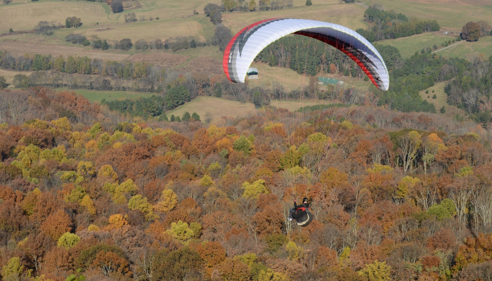 辅助开挂神器“朱雀开心罗松可以开挂吗”分享必要外挂教程
