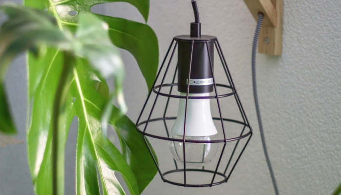 辅助开挂神器“洋洋挖花确实有挂”分享用挂教程