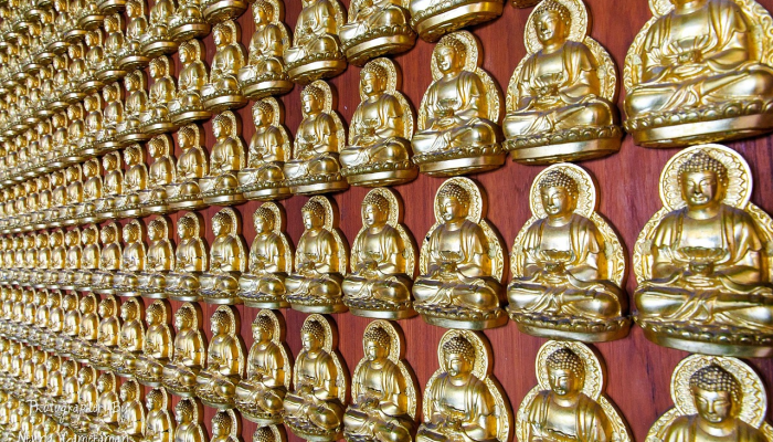 实测教程”山水云南麻将开挂”分享用挂教程